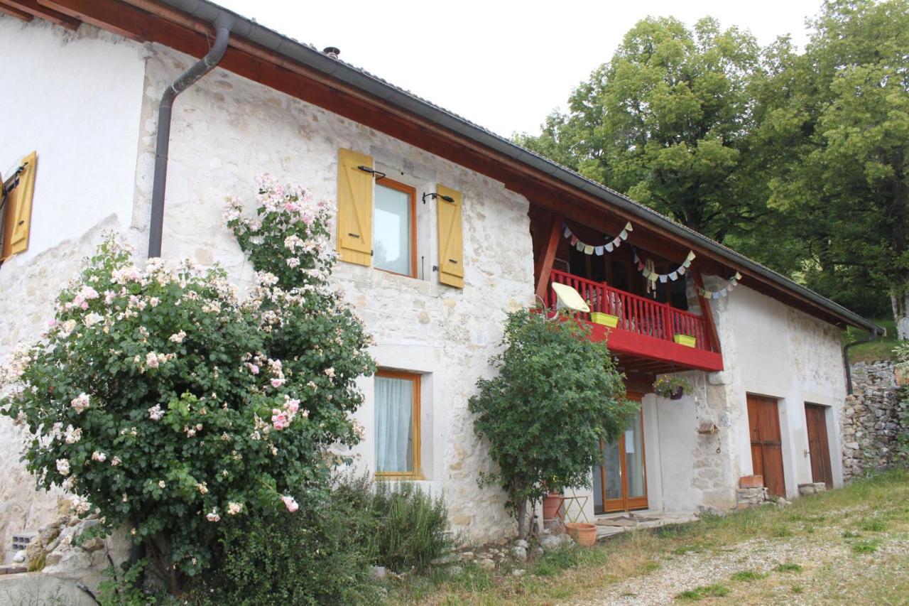Chez Louve Bleue Bed and Breakfast Hotonnes Exteriör bild