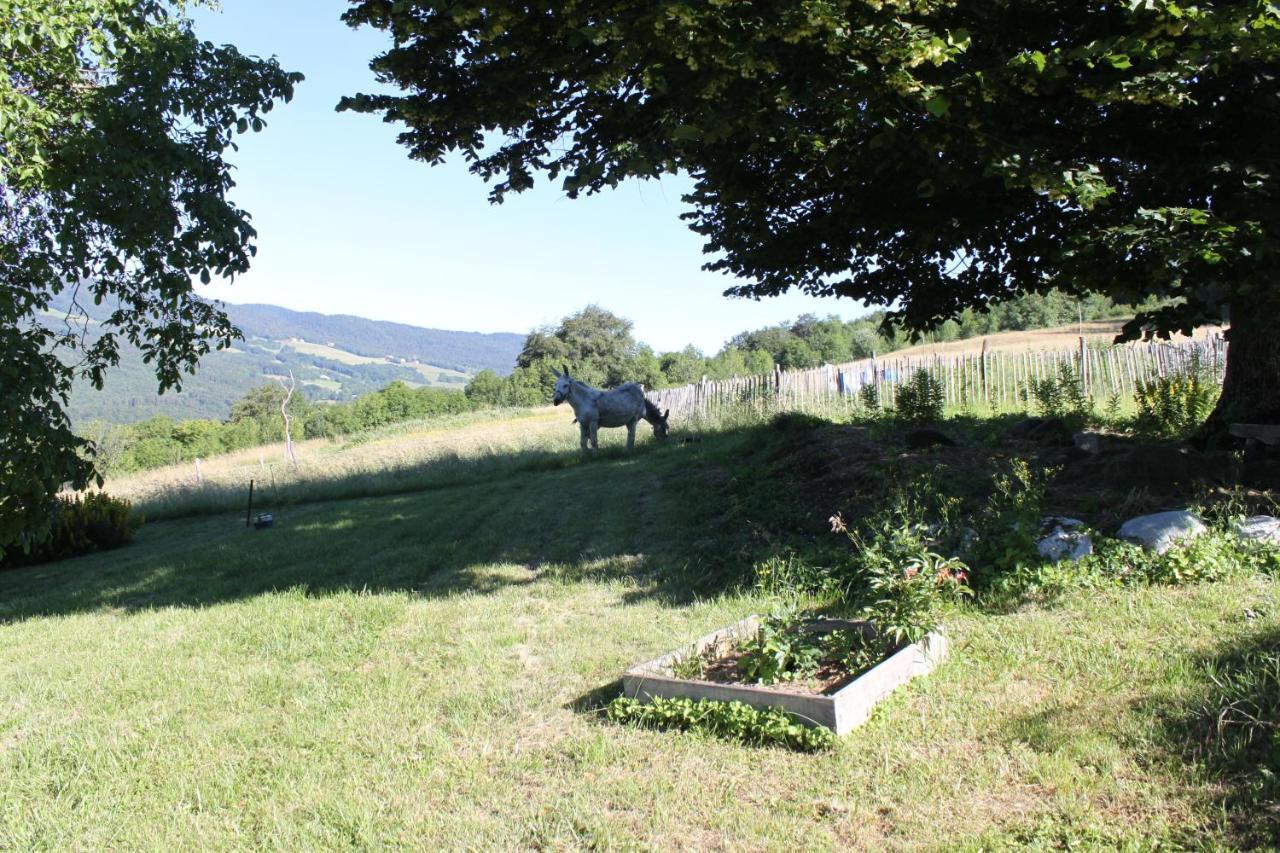 Chez Louve Bleue Bed and Breakfast Hotonnes Exteriör bild